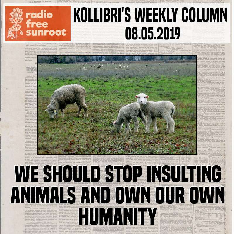Kollibri\'s Weekly Column