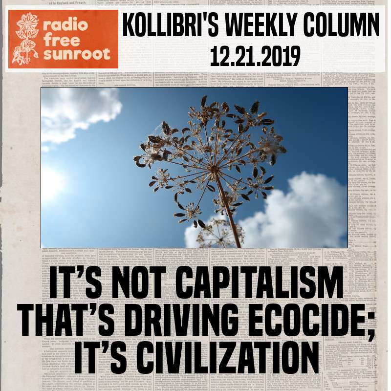 Kollibri\'s Weekly Column