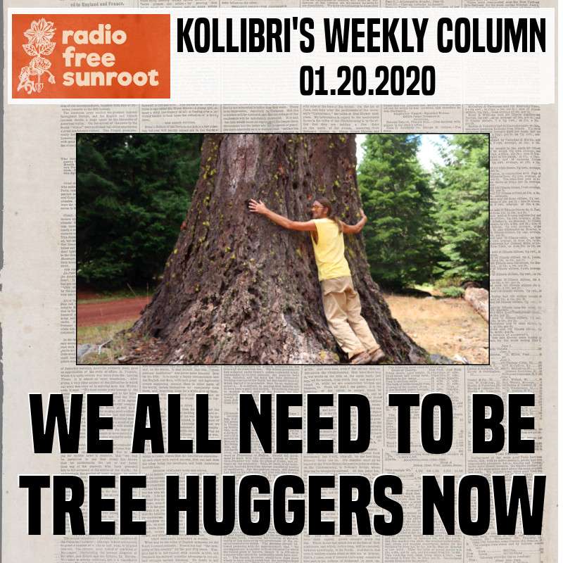 Kollibri\'s Weekly Column