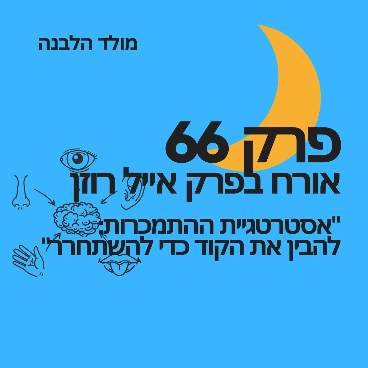 פרק 66: "אסטרטגיית ההתמכרות: להבין את הקוד כדי להשתחרר" פרק 66: "אסטרטגיית ההתמכרות: להבין את הקוד כדי להשתחרר"
