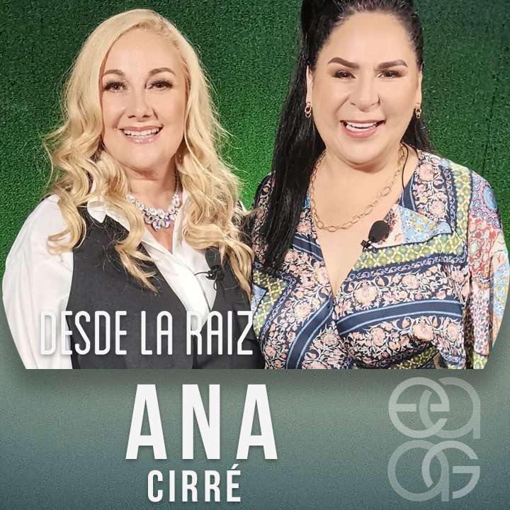 Desde la Raíz
