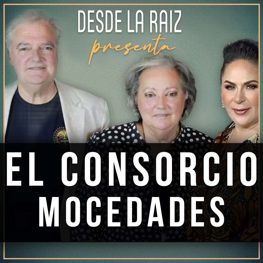 Desde la Raíz