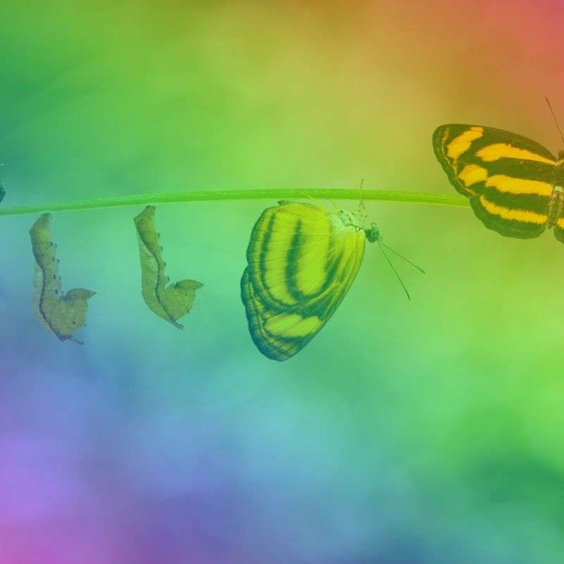 S1E7 -C’est nous qui changeons, pas ce qui est, une méditation sur l'espoir