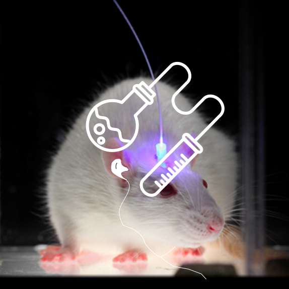 Can an LED control your nervous system?