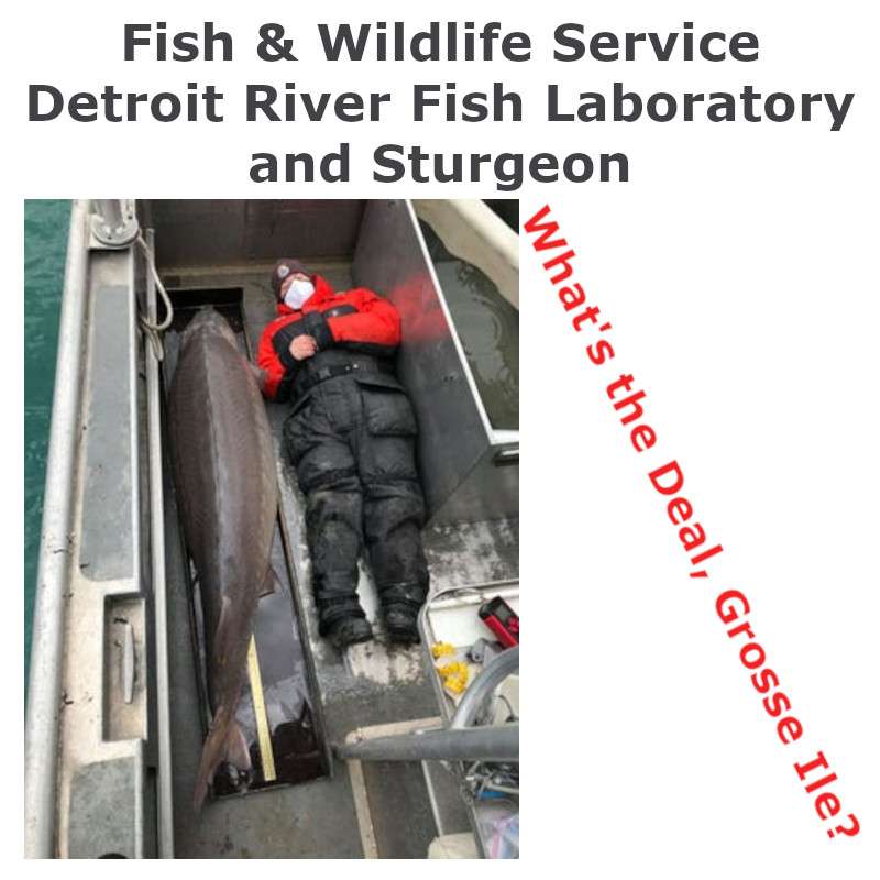 S2E7 - US Fish & Wildlife Service Detroit River Fish Lab