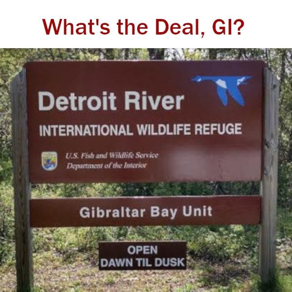 What\'s the Deal, Grosse Ile?