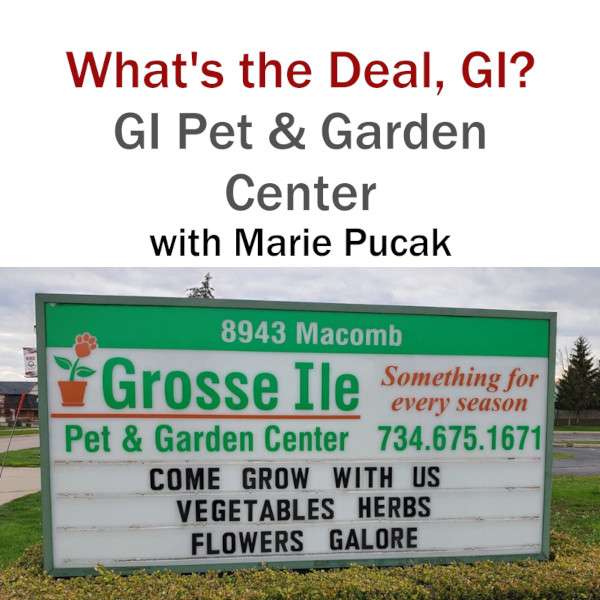 What\'s the Deal, Grosse Ile?