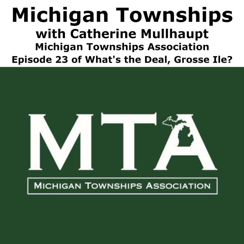 S1E23 - Michigan Townships