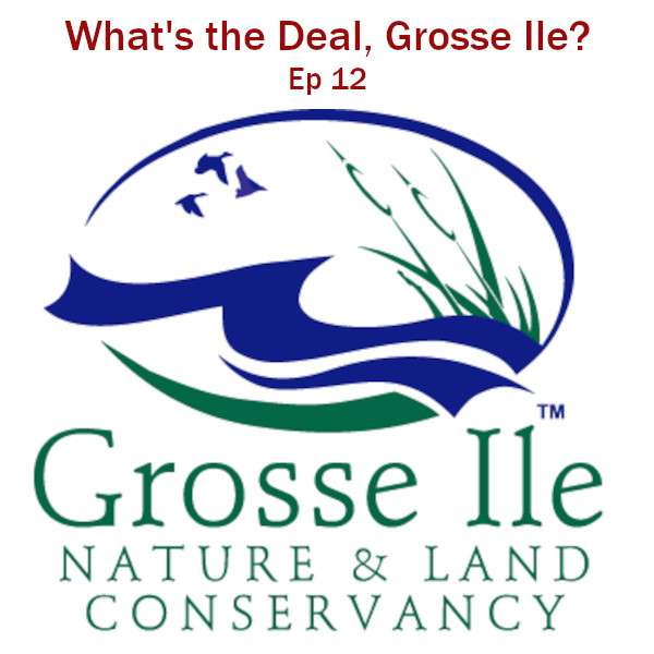 What\'s the Deal, Grosse Ile?
