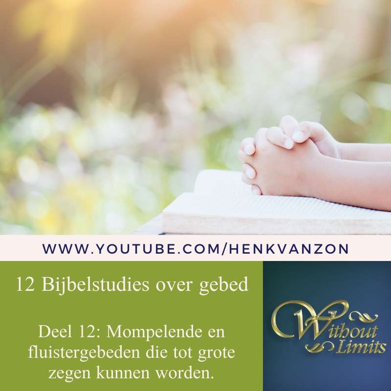 Without Limits - Henk van Zon