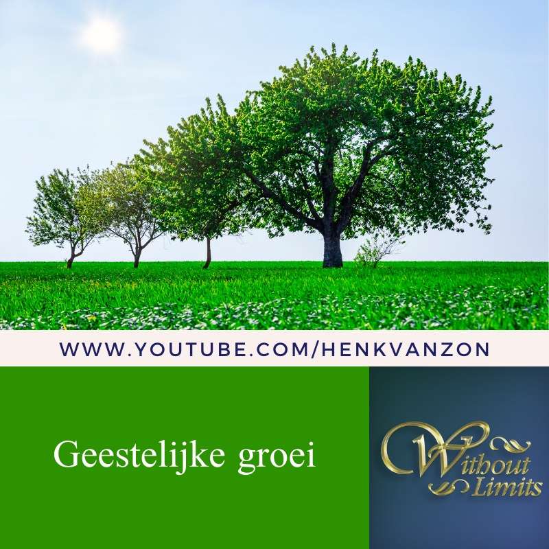 Without Limits - Henk van Zon