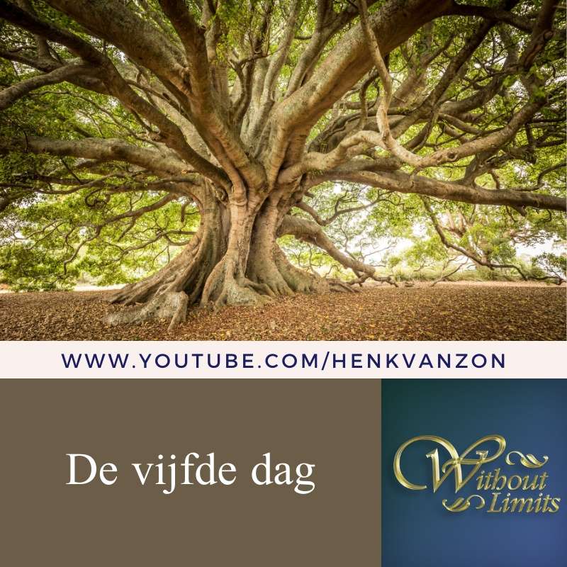 Without Limits - Henk van Zon