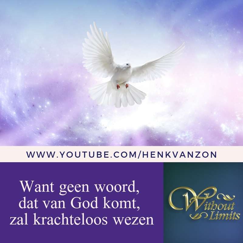 Without Limits - Henk van Zon