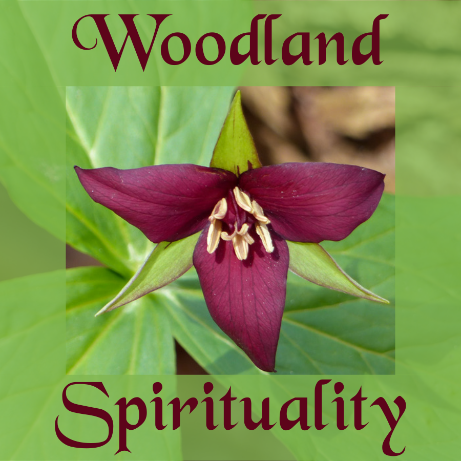 Woodland Spirituality