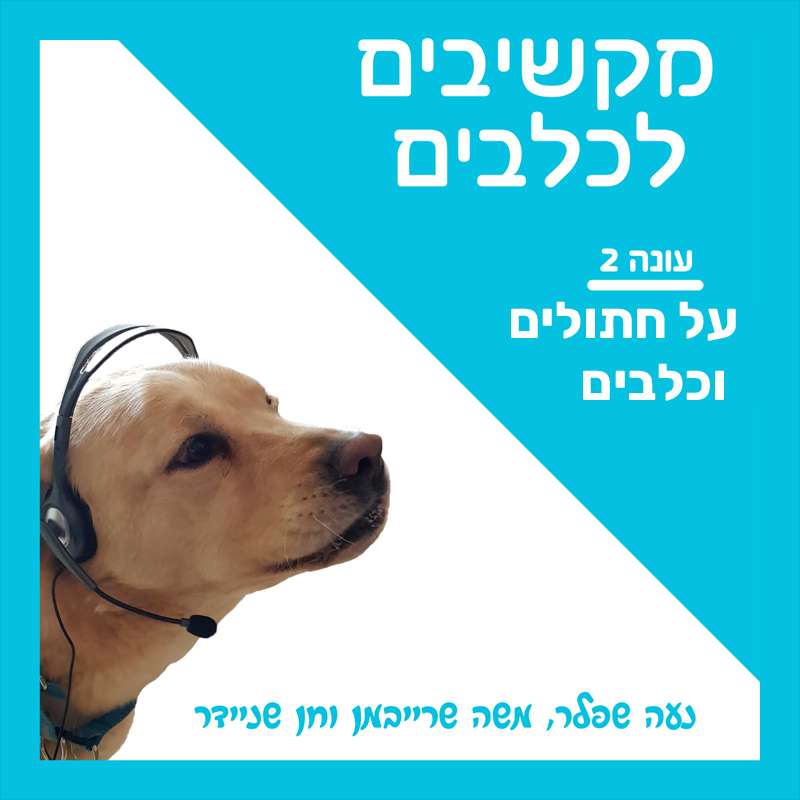 S2:E38 – על חתולים וכלבים episode artwork