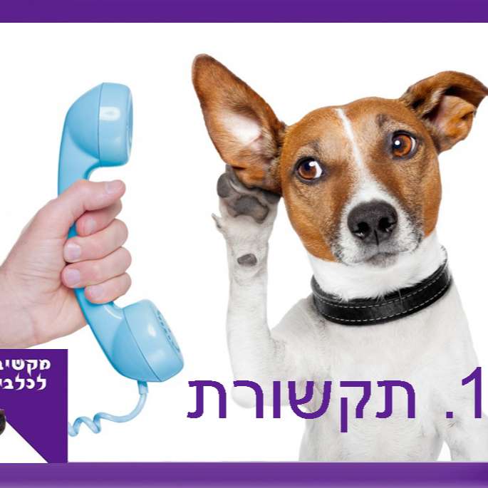 S1:E17 – תקשורת כלבית עם משה שרייבמן