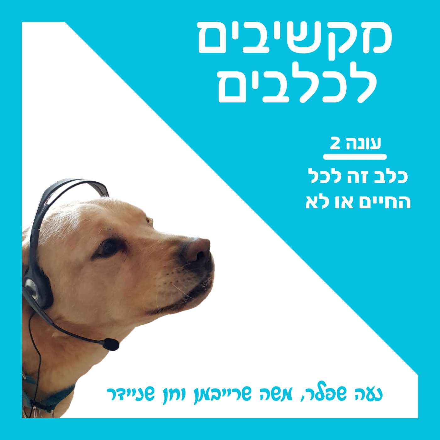 S2:E36 – כלב זה לכל החיים או לא? episode artwork