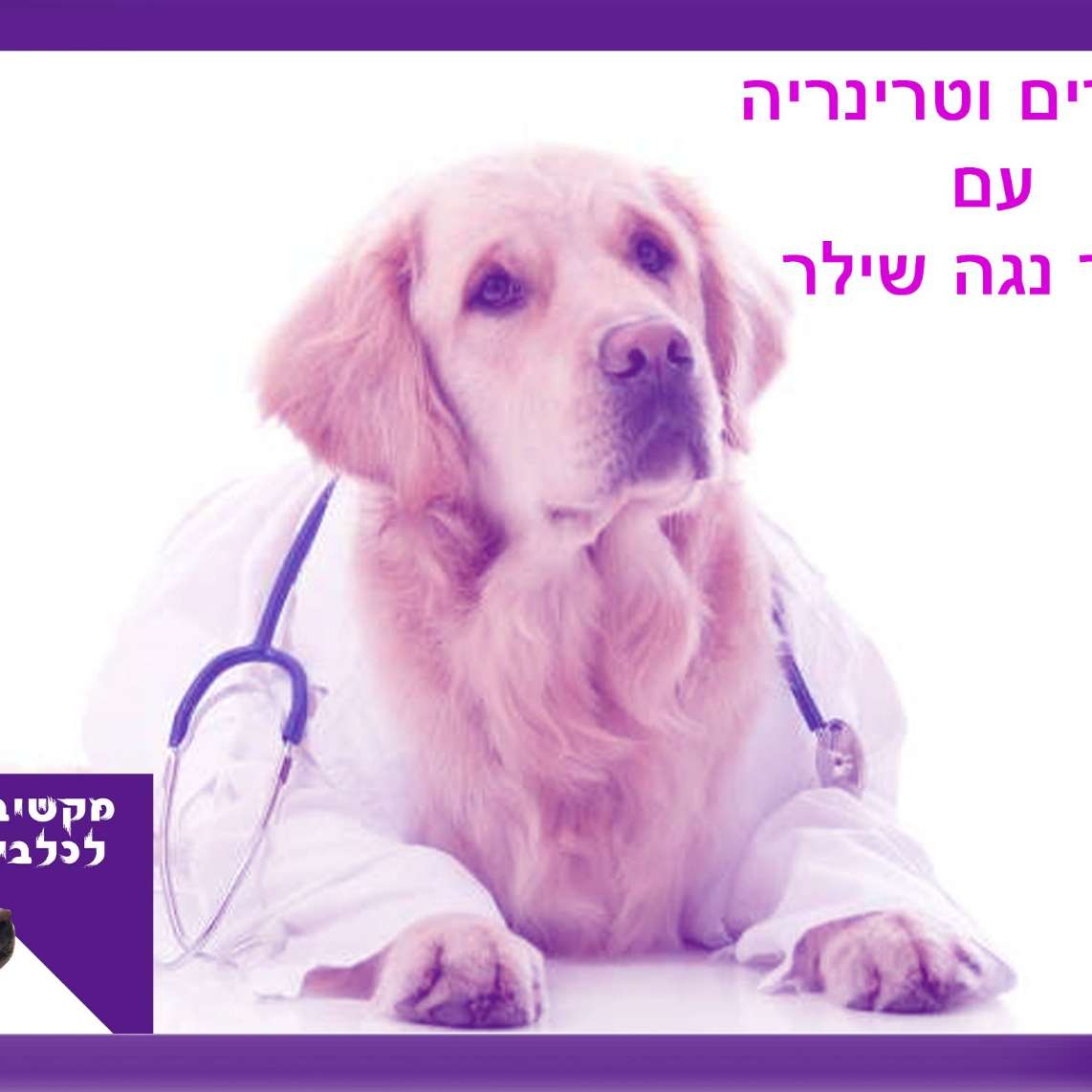 S1:E10 – מדברים וטרינריה ואילוף עם דר' נגה שילר
