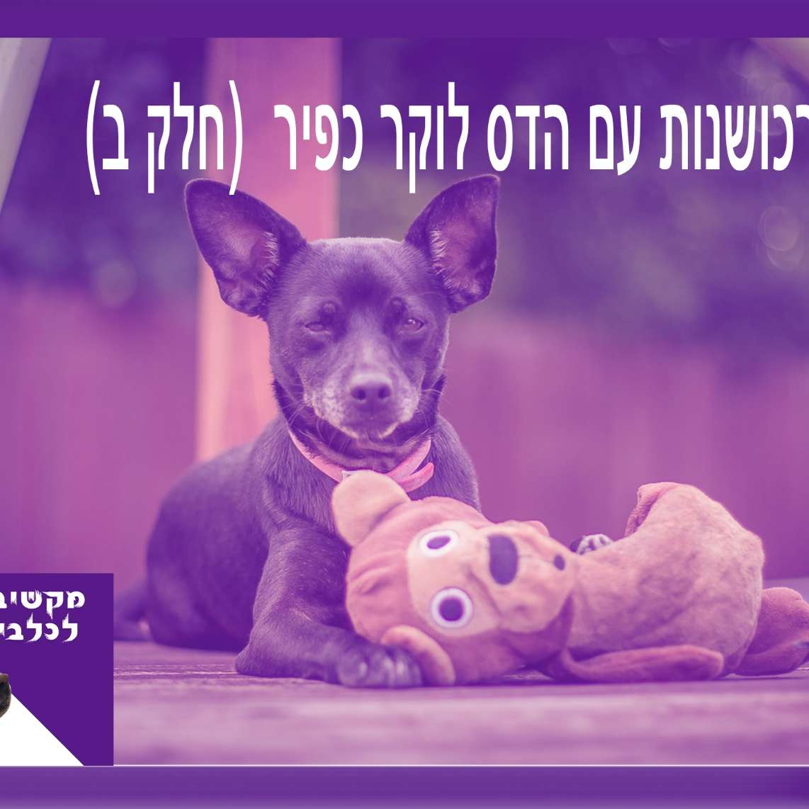 S1:E12 – רכושנות בכלבים חלק ב - עם הדס לוקר כפיר
