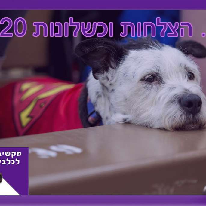 S1:E26 – הצלחות וכישלונות episode artwork