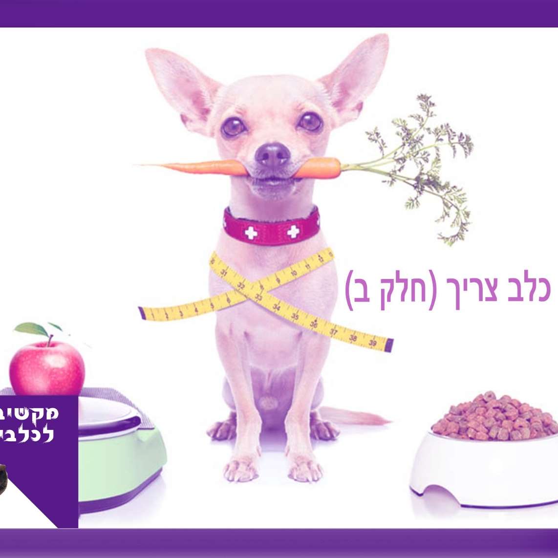 S1:E4 – מה כלב צריך - חלק ב