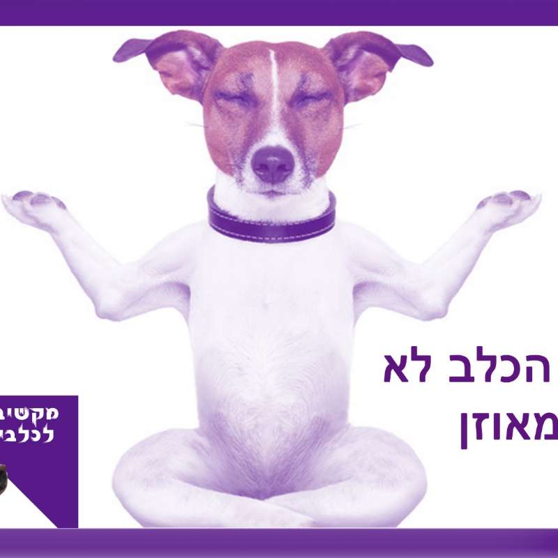 S1:E14 – הכלב לא מאוזן