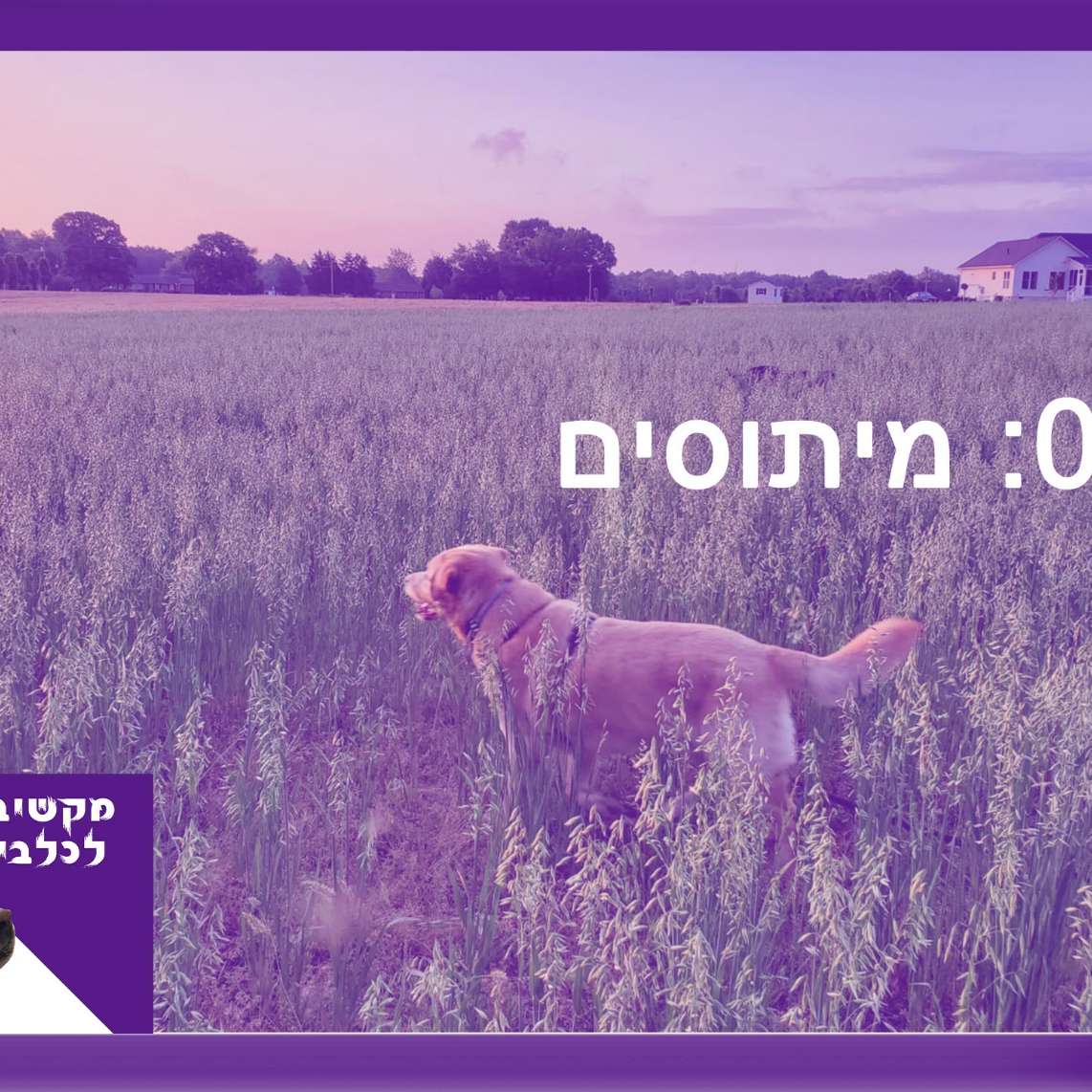 S1:E2 – מיתוסים