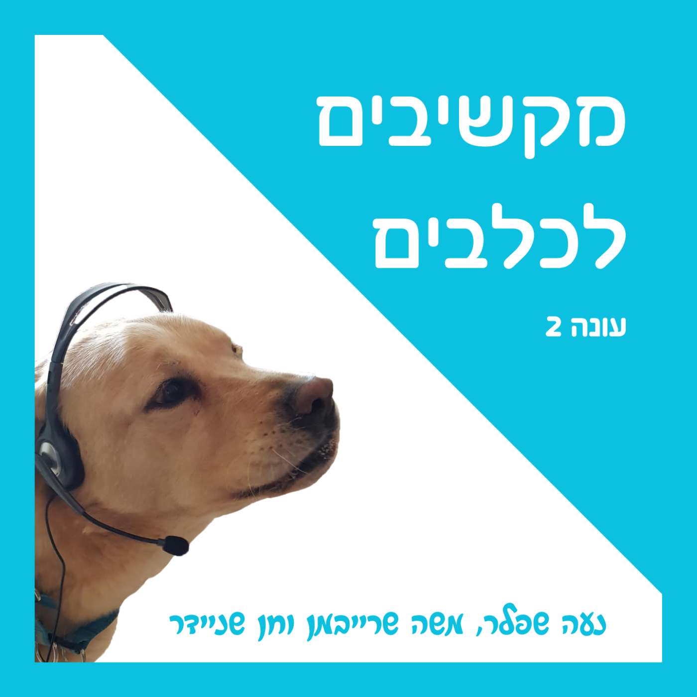 S2:E33 – מתקפת חרקים ומי זו אפר"ת? episode artwork