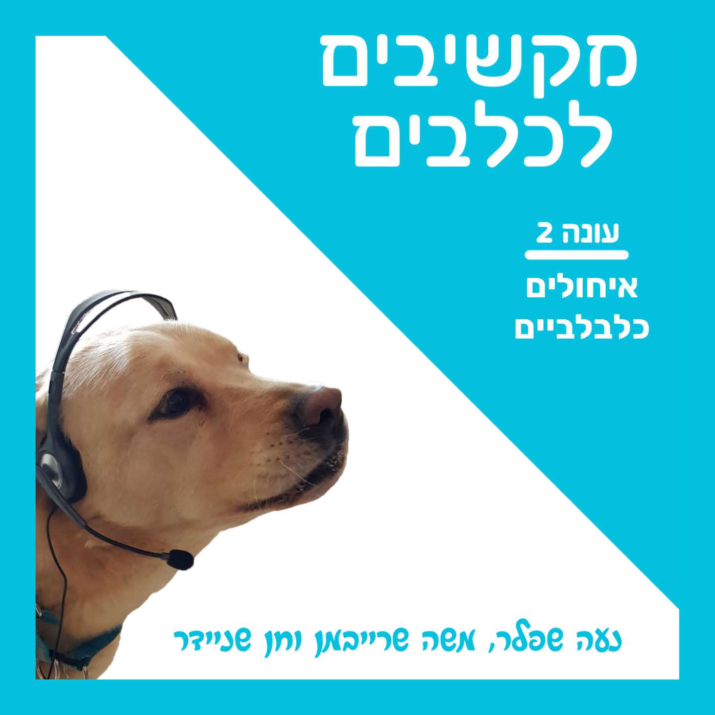 S2:E40 – איחולים כלבלביים episode artwork