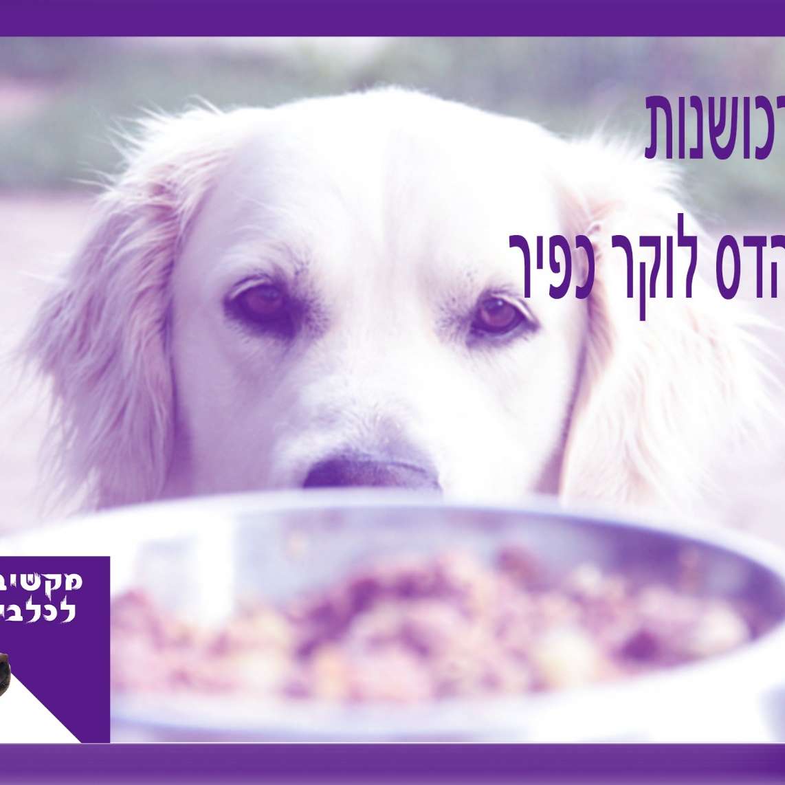 S1:E11 – רכושנות בכלבים חלק א - עם הדס לוקר כפיר