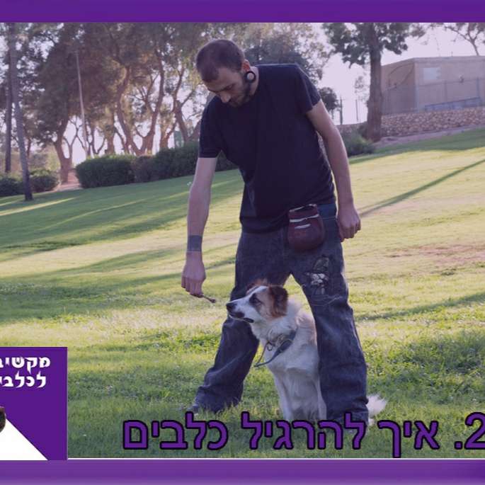 S1:E23 – איך להרגיל כלבים חלק א episode artwork