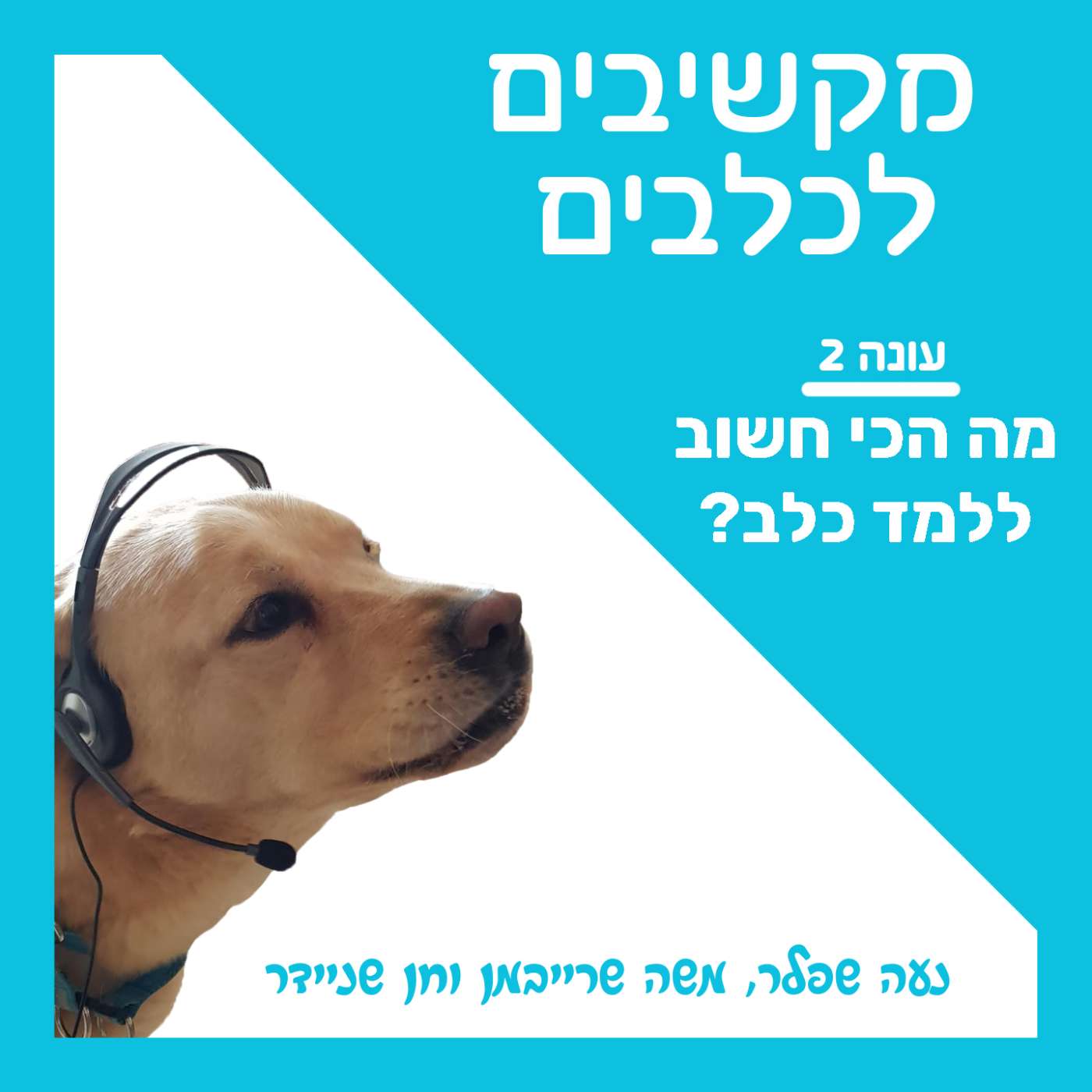 S2:E37 – מה הכי חשוב ללמד כלב? episode artwork