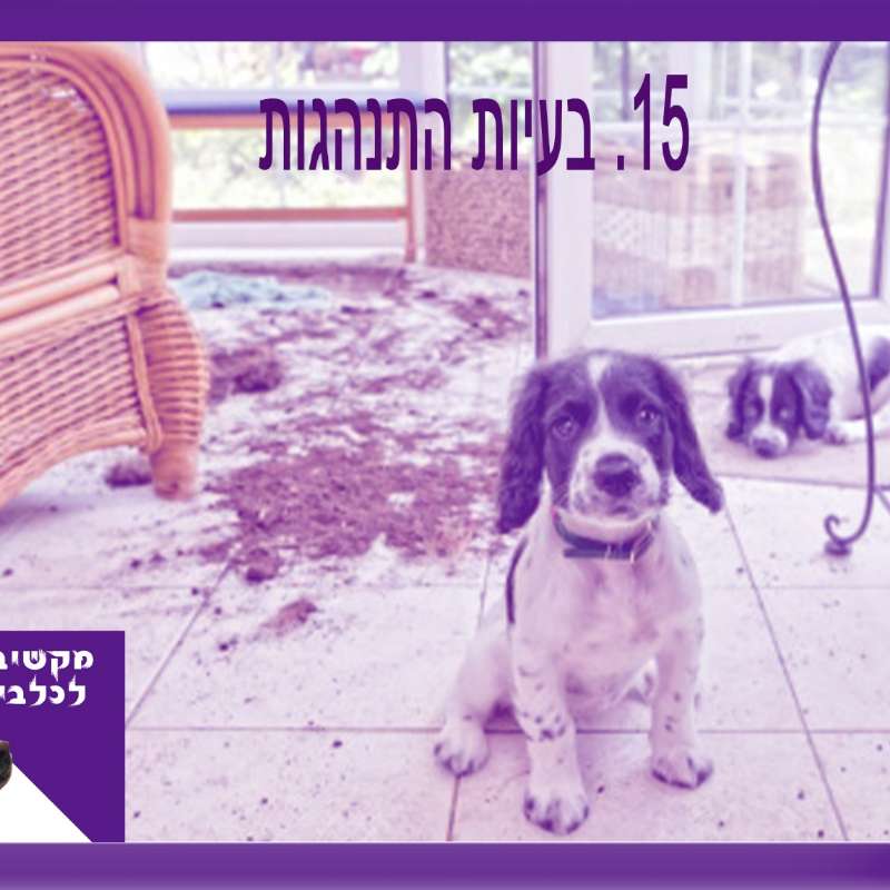 S1:E15 – בעיות התנהגות