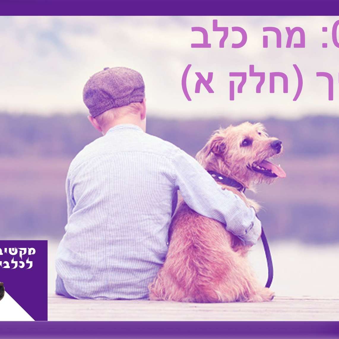 S1:E3 – מה כלב צריך - חלק א