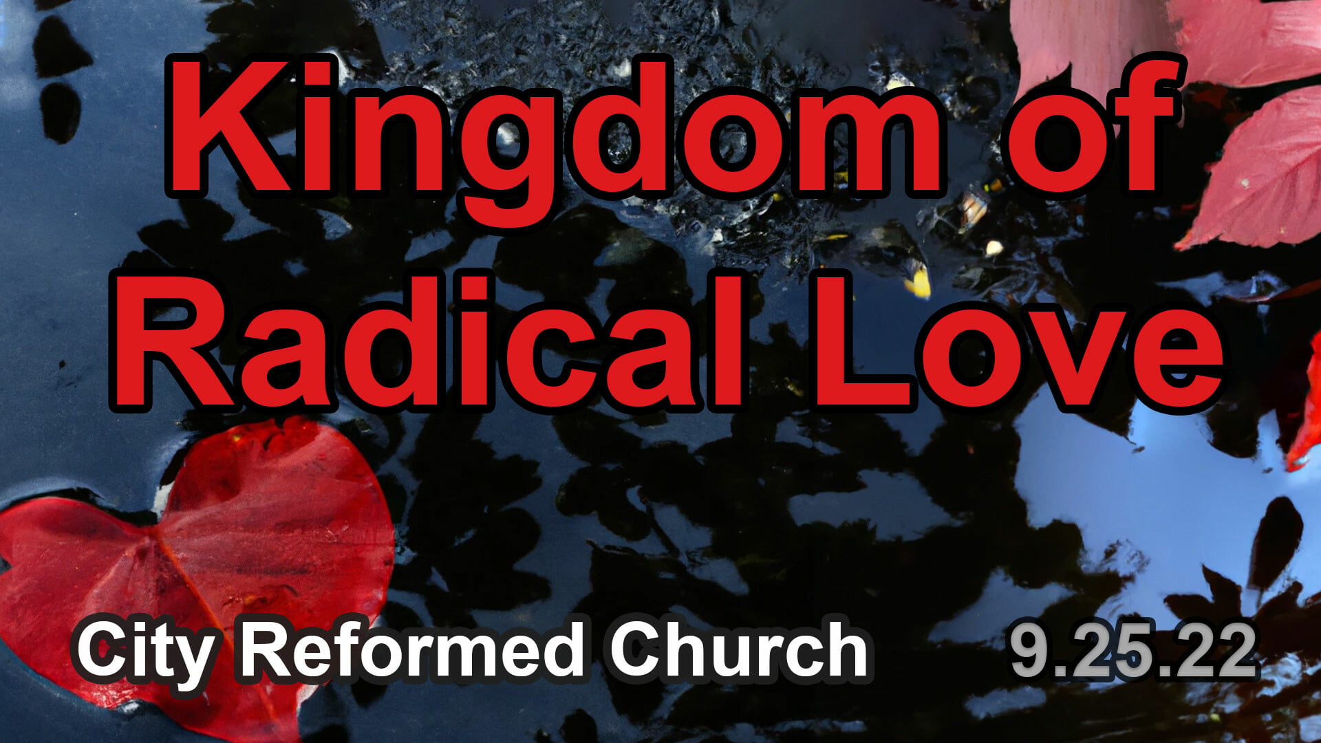 Kingdom of Radical Love (Audio) episode artwork