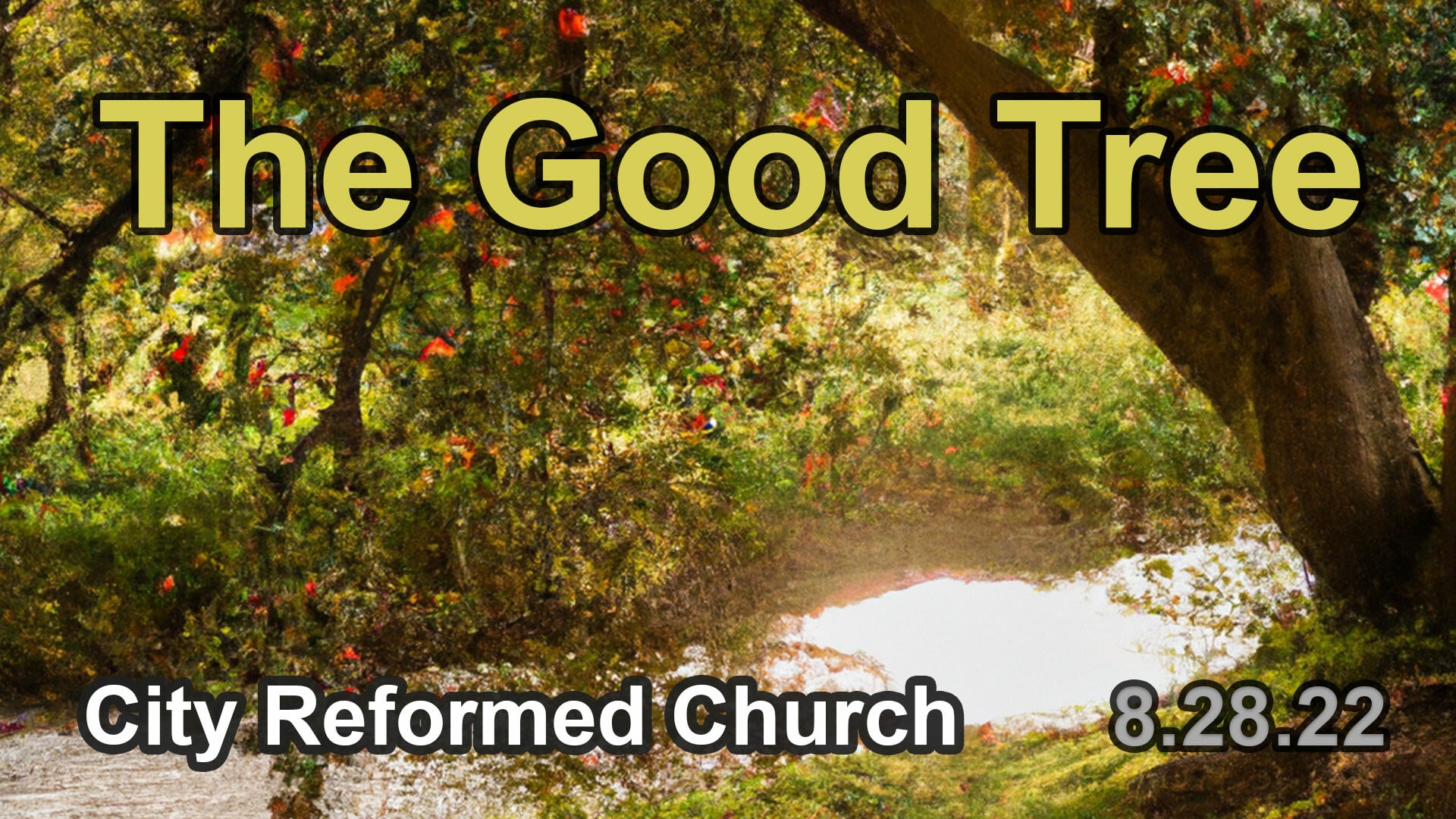 The Good Tree (Audio) episode artwork