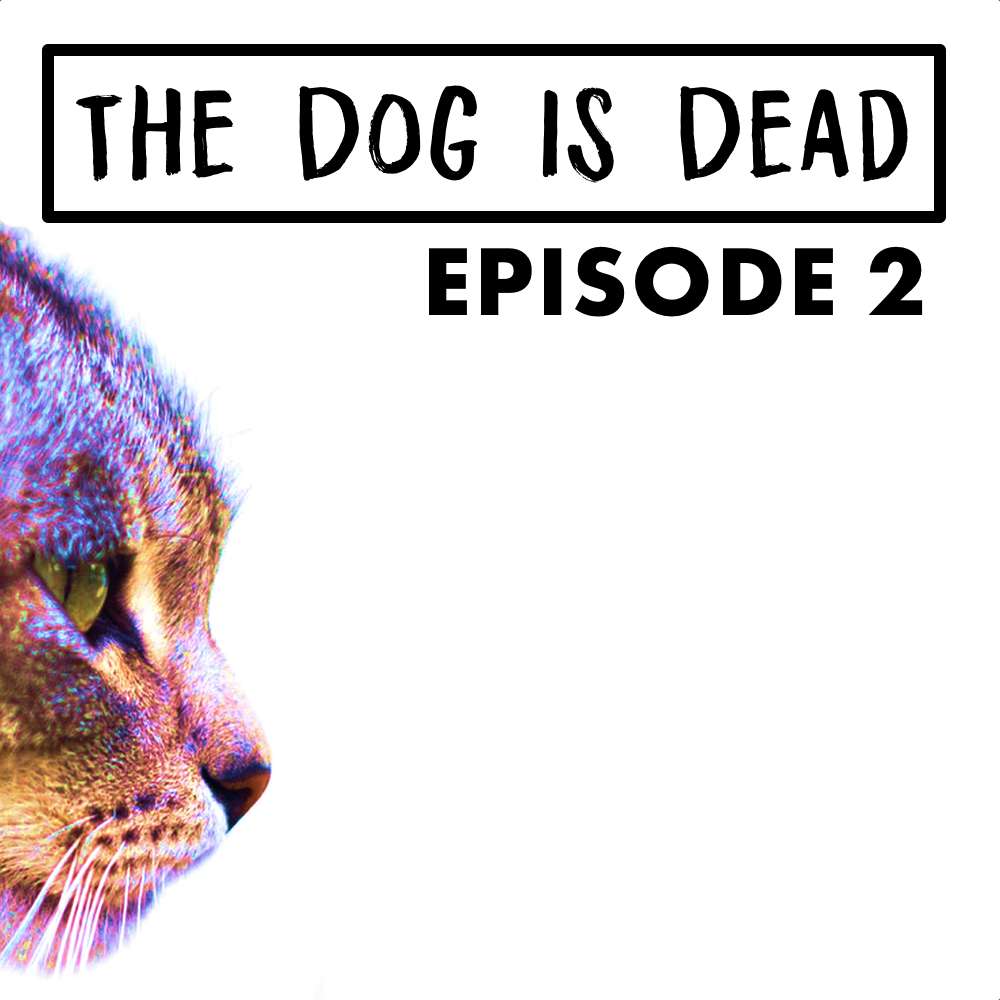 S1E2 - The Prodigal Cat