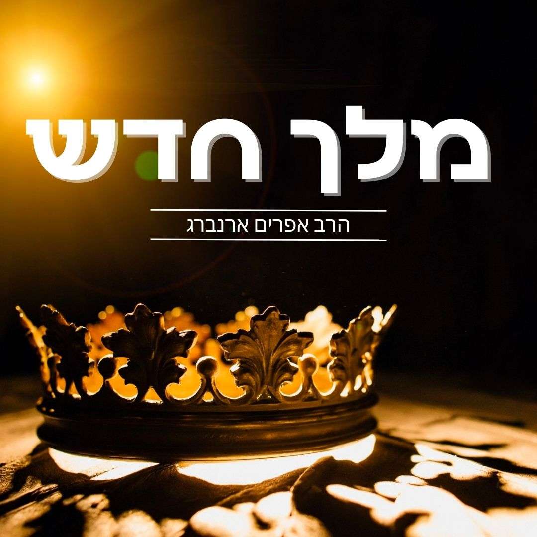 מלך חדש
