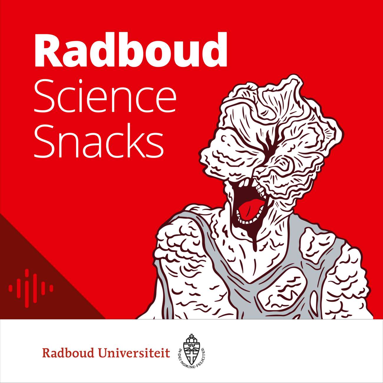 Radboud Science Snacks