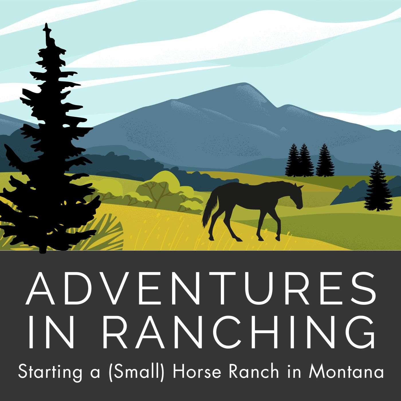 Adventures In Ranching: Starting a (Small) Horse Ranch in Montana