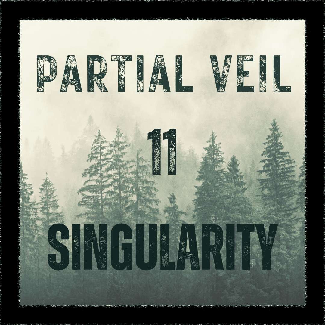 S1E11 -Episode 11: Singularity