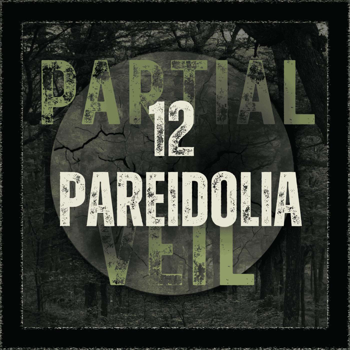 S2E12 -Episode 12: Pareidolia