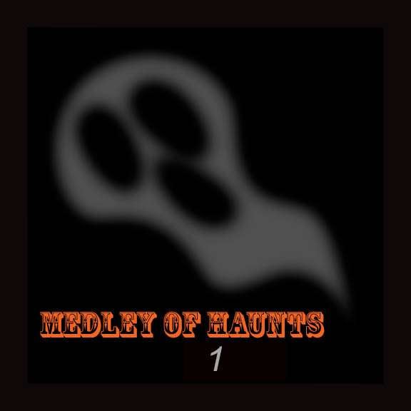 Beyond the Veil Paranormal Team