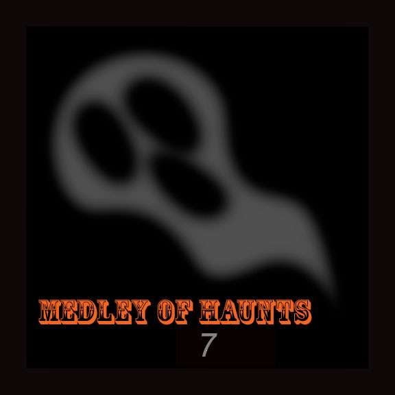 Beyond the Veil Paranormal Team