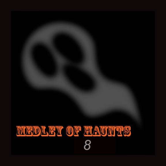 Beyond the Veil Paranormal Team