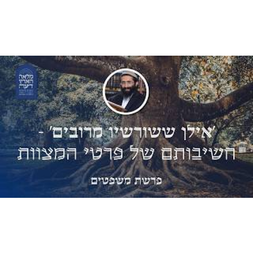 פרשת משפטים • 'אילן ששורשיו מרובים' - חשיבותם של פרטי המצוות episode artwork