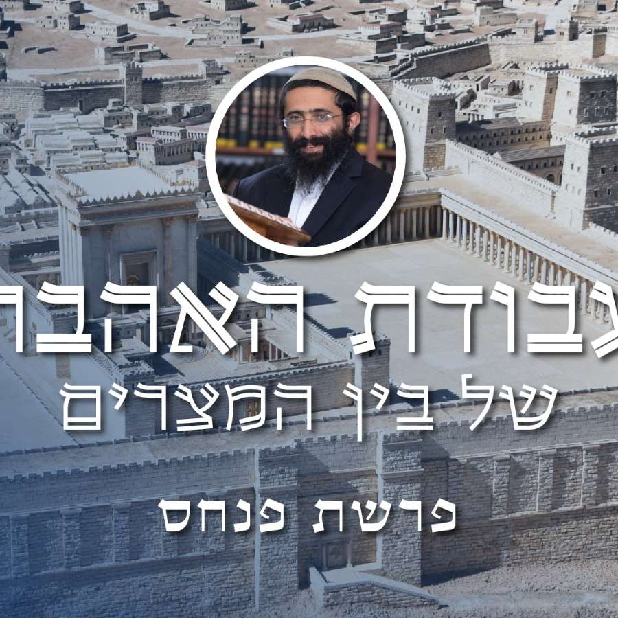 פרשת פנחס • הרב ראובן ששון • עבודת האהבה של בין המצרים episode artwork