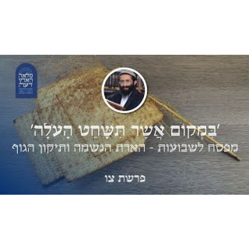 פרשת צו-פסח • 'במקום אשר תשחט העולה' - מפסח לשבועות - הארת הנשמה ותיקון הגוף episode artwork