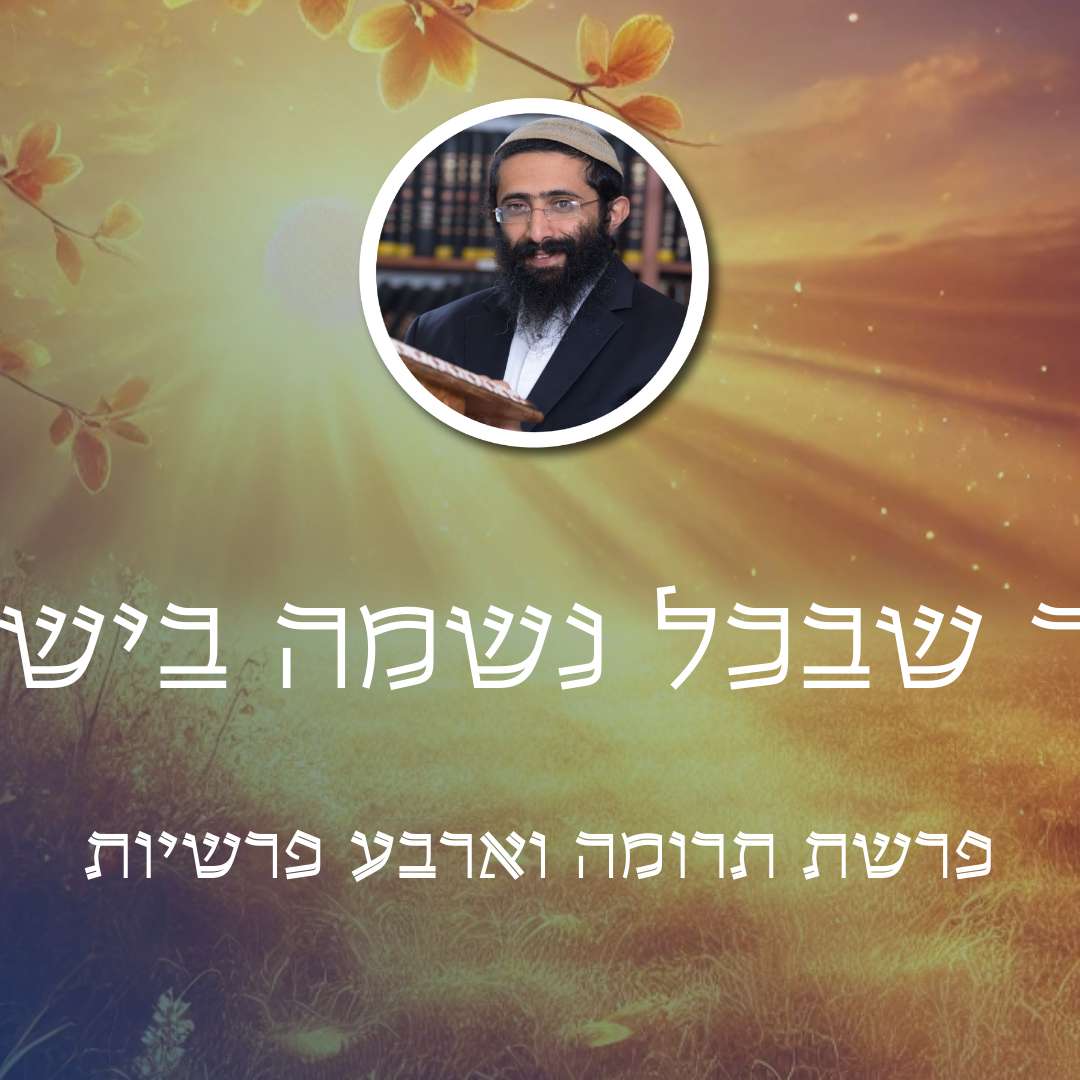 פרשת תרומה וארבע פרשיות • האור שבכל נשמה בישראל episode artwork