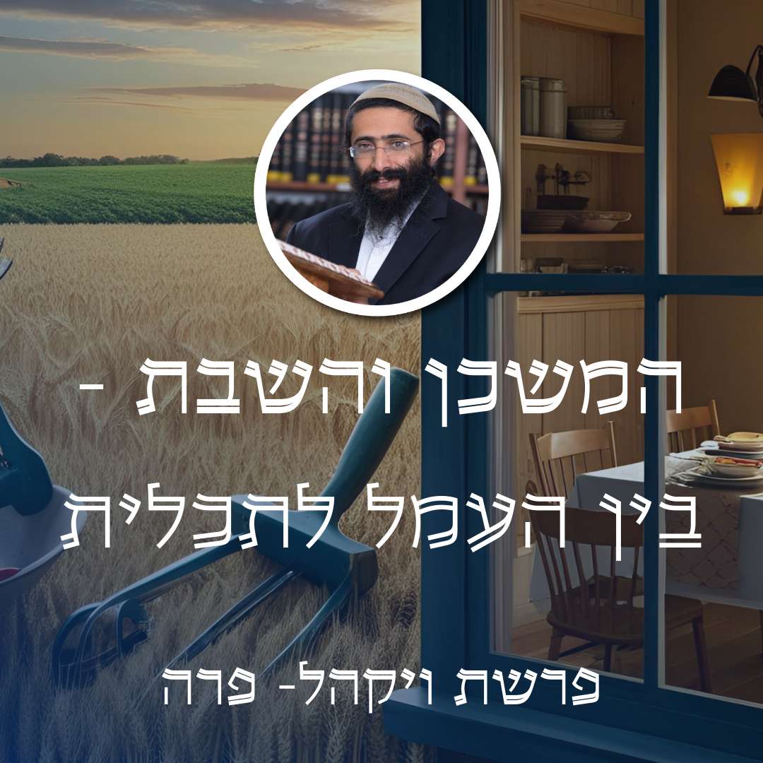 פרשת ויקהל- פרה • המשכן והשבת - בין העמל לתכלית episode artwork